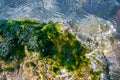 stones with green algae in clear sea water