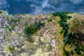 stones with green algae in clear sea water Royalty Free Stock Photo