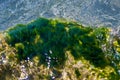 stones with green algae in clear sea water