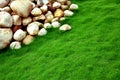 Stones green grass Royalty Free Stock Photo