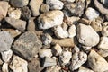 Stones on the ground. Rock background. Ground and stones. Rocky soil. Stone background. Natural