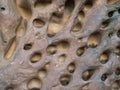 Stones with holes caused by water erosion Royalty Free Stock Photo