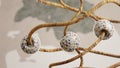 Beads with a Mediterranean pattern on wooden branches. 3d render