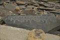 Stones inscribed with Buddhist mantra Om Mani Padme Hum in Ladakh, INDIA Royalty Free Stock Photo