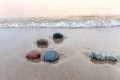 Stones on a Lake Huron Beach - Grand Bend, Ontario