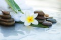 Stones, leaves, flower and white towel for body massage