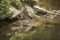 Stones lie on the bank of a stream and are reflected in the water Royalty Free Stock Photo