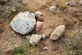 Stones lying in a meadow. Field stones left behind