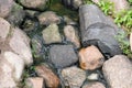 stones lying in river water Royalty Free Stock Photo