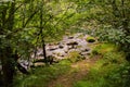 Stones in Majaceite river in El Bosque, Spain