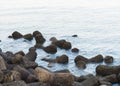 Stones at marine drive beach mumbai Royalty Free Stock Photo