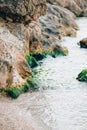 The stones in the moss on the beach. Stone Coast. Washed by the Royalty Free Stock Photo