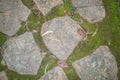 Stones and moss on ground, used as Background and Texture. Royalty Free Stock Photo