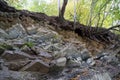 Natural stones near bank of river, Carpathian Mountains, Ukraine