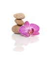 Stones and Orchid Royalty Free Stock Photo