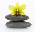 Stones and orchid Royalty Free Stock Photo