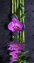 Stones, orchid flower and bamboo reflected in a water Royalty Free Stock Photo