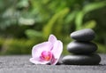 Stones and orchid flower on black sand against blurred background Royalty Free Stock Photo