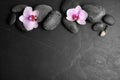 Stones with orchid flowers and space for text on background, flat lay. Zen lifestyle Royalty Free Stock Photo