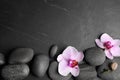 Stones with orchid flowers and space for text on background, flat lay. Zen lifestyle Royalty Free Stock Photo