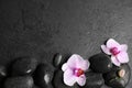 Stones with orchid flowers and space for text on wet background, flat lay. Zen lifestyle Royalty Free Stock Photo