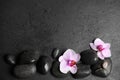 Stones with orchid flowers and space for text on wet background, flat lay. Zen lifestyle Royalty Free Stock Photo