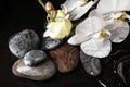 Stones and orchid flowers in water on background. Zen lifestyle Royalty Free Stock Photo