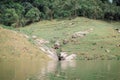 The stones over the lake waters.Beautiful natural vacation hiking walking travel to nature lake destinations concept