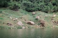 The stones over the lake waters.Beautiful natural vacation hiking walking travel to nature lake destinations concept