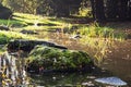 Stones overgrown with moss in a creek