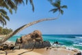 Stones and palm trees on a sandy beach of Hikkaduwa in Sri Lanka