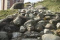 Stones in park. Slide of stones. Artificial waterfall Royalty Free Stock Photo