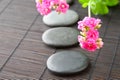 Stones path with flowers for zen spa background. H