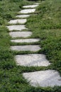 Stones path - vertical image
