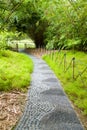 stones pathway in Singapore Botanical garden Royalty Free Stock Photo