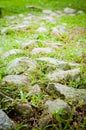 stones pathway on grass