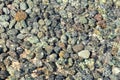 Stones or pebbles under water Royalty Free Stock Photo