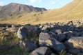 Stones with petroglyph's by Asian ancients of nomads