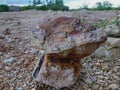 stones piled on a stretch of small, very beautiful rocks