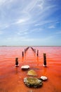 Pink sea, red sea cartagena colombia