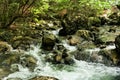 Stones in the rapid flow of water Royalty Free Stock Photo