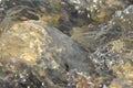 Stones in the river. Fast flowing water. Refreshing mountain river stream. The stream of crystal clear water. Royalty Free Stock Photo