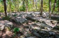 Stones River National Battlefield