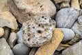 Stones with rock erosion holes at beach in Ireland Royalty Free Stock Photo