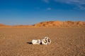 Stones Desert of Rub al Khali or Empty Quarter Royalty Free Stock Photo