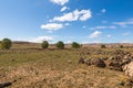 Stones in Sahara desert Royalty Free Stock Photo