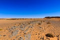 Stones in Sahara desert Royalty Free Stock Photo