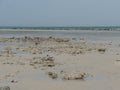 Stones and sand on Fuwairit Beach in Qatar Royalty Free Stock Photo