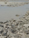 Stones and sand on Fuwairit Beach in Qatar Royalty Free Stock Photo