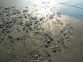 Stones on the sandy beach. Quiet place. The silence of the waves Edge of the coast. Background of sand and stone. Black sand on